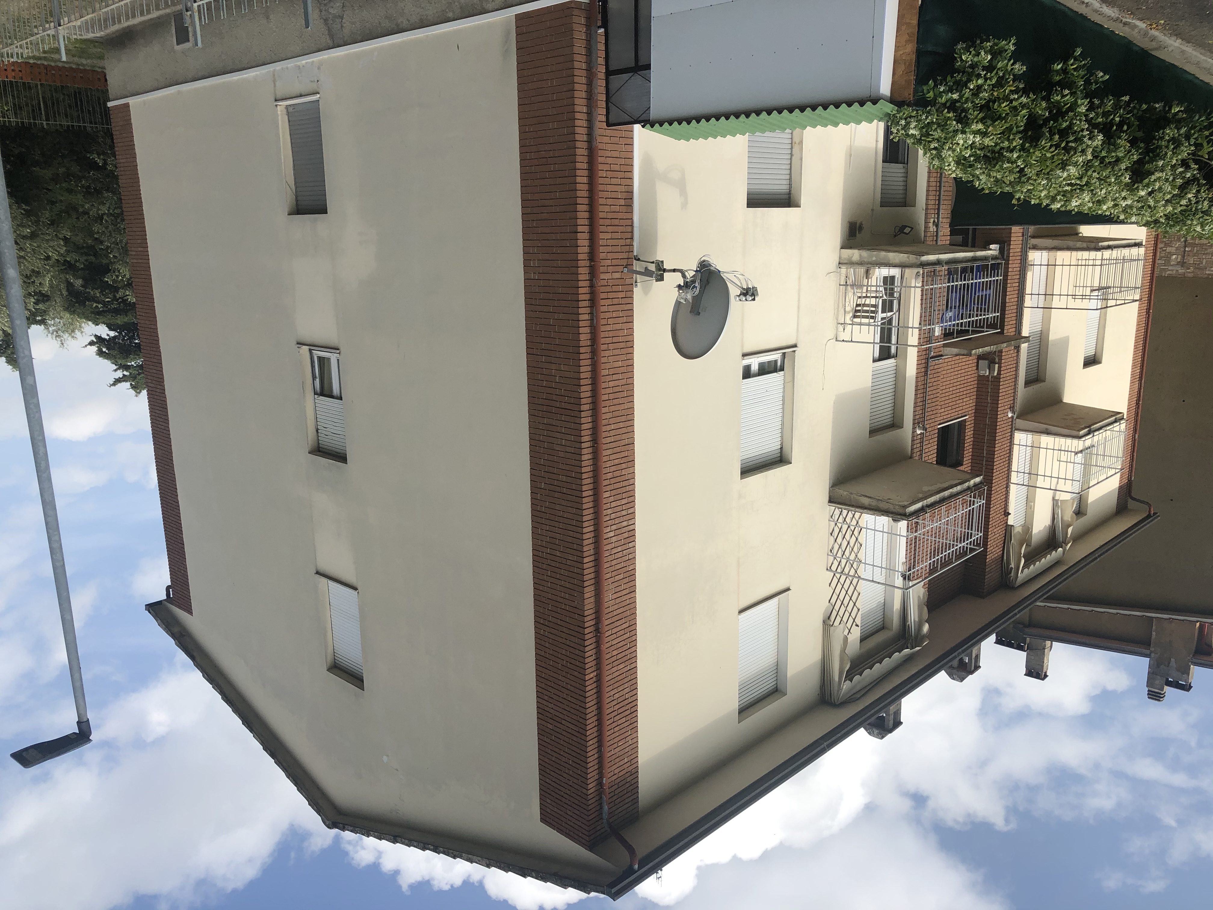 madonna alta2